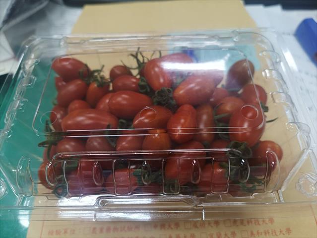 生產者圖片