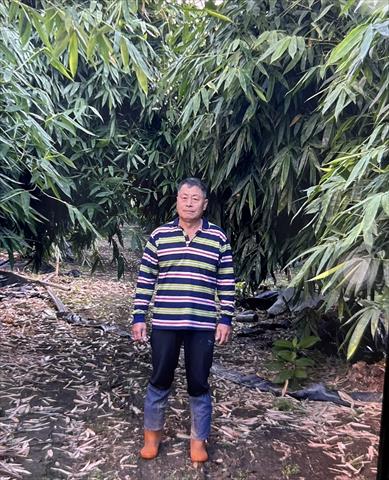 生產者圖片