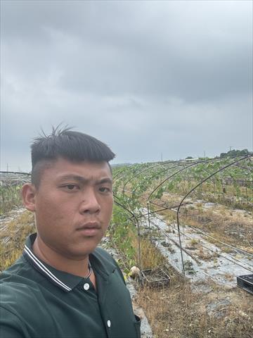 生產者圖片