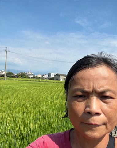 生產者圖片