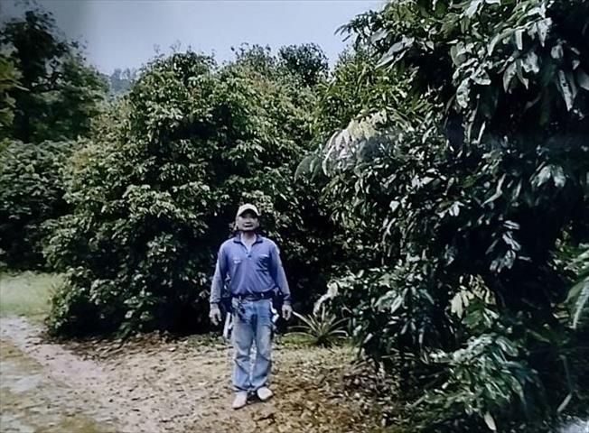 生產者圖片