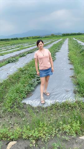 生產者圖片