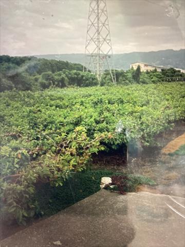 生產者圖片
