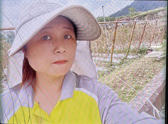生產者圖片