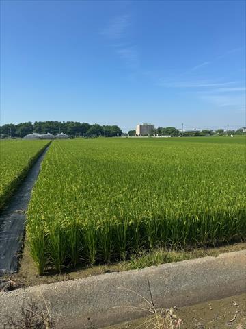 生產者圖片