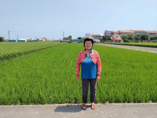 生產者圖片