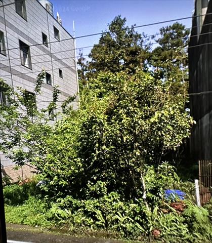 生產者圖片