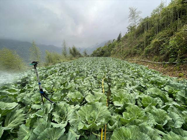 生產者圖片