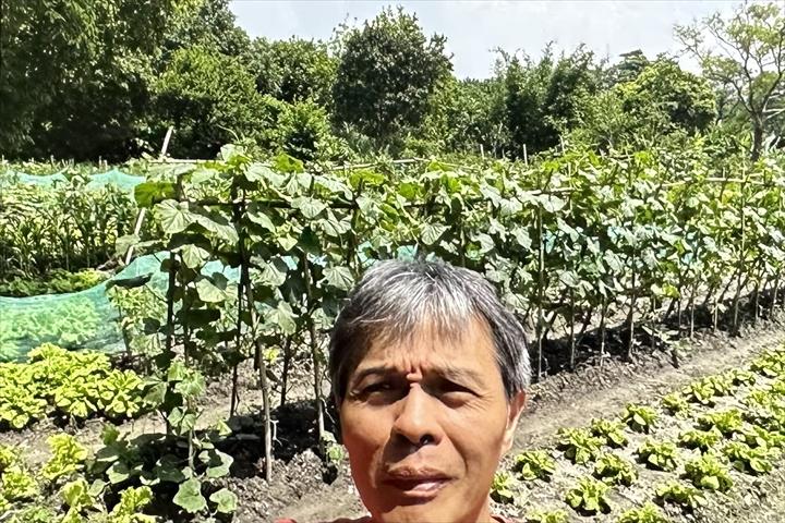 生產者圖片