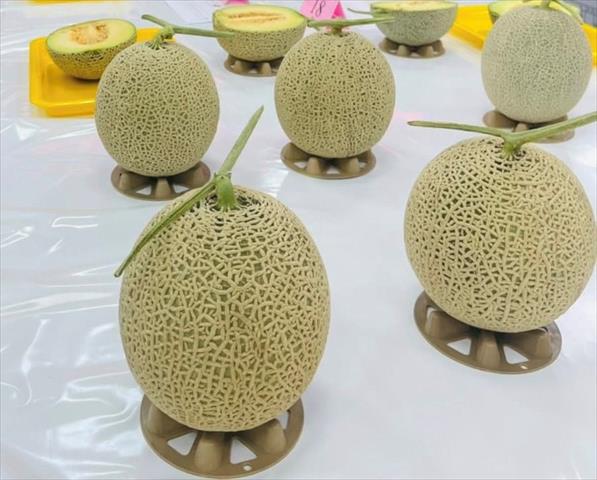 生產者圖片