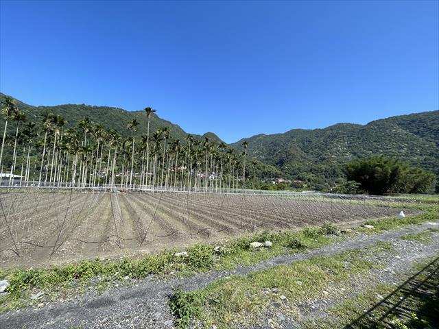 生產者圖片