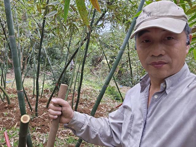 生產者圖片