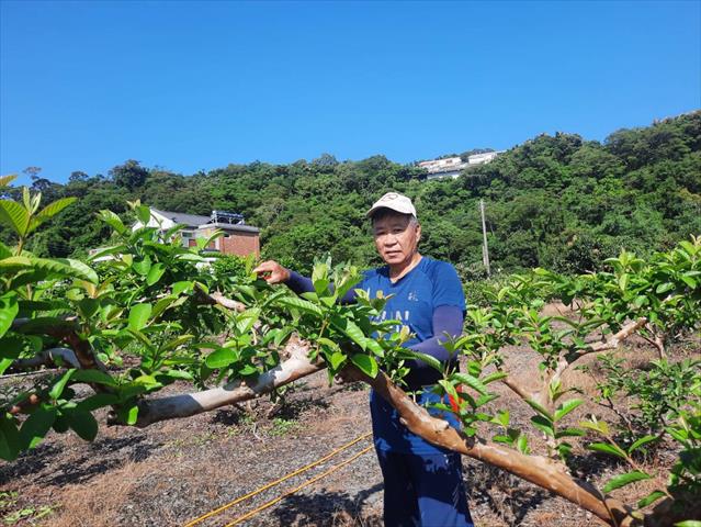 生產者圖片