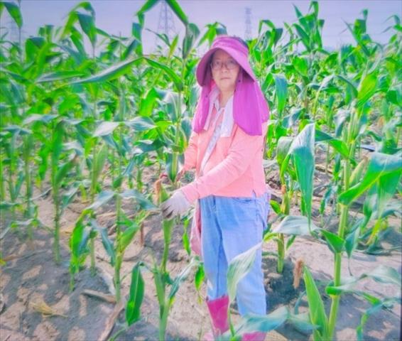 生產者圖片