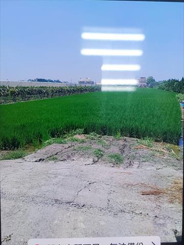 生產者圖片