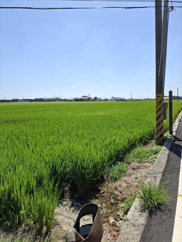 生產者圖片