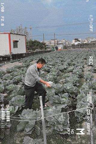 生產者圖片