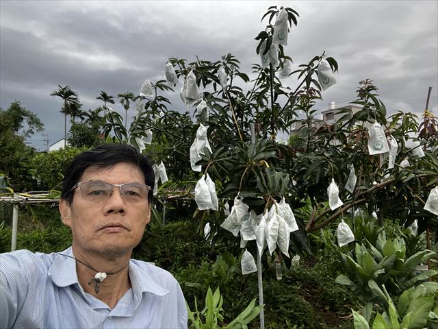 生產者圖片