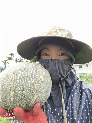 生產者圖片