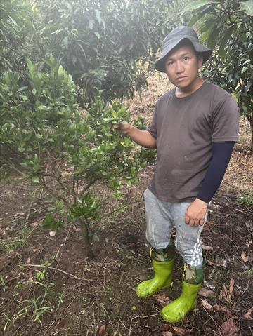 生產者圖片