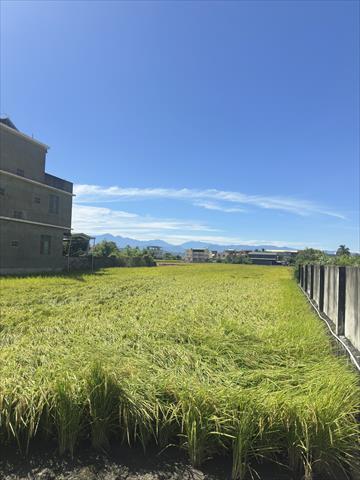 生產者圖片