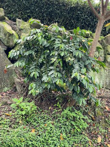 生產者圖片