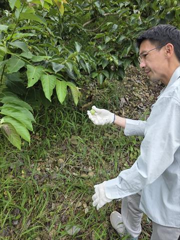 生產者圖片