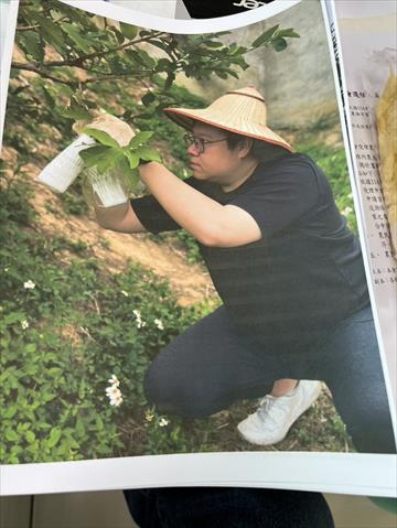 生產者圖片