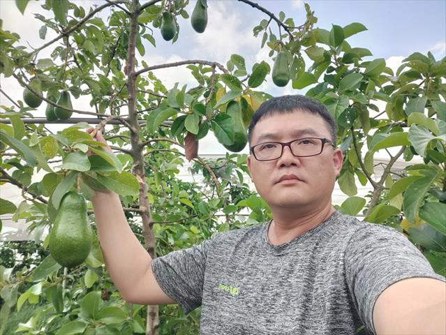 生產者圖片