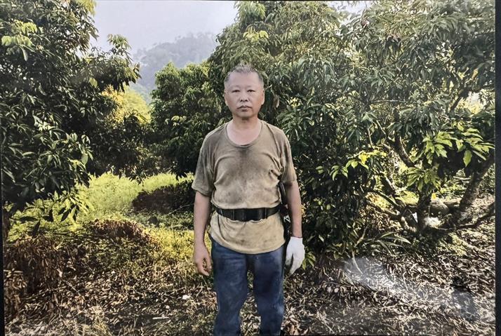 生產者圖片