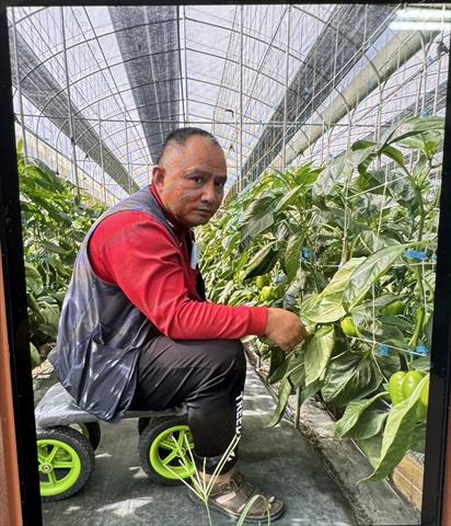 生產者圖片
