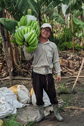 生產者圖片
