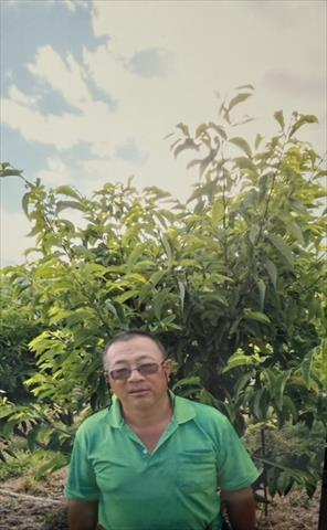 生產者圖片