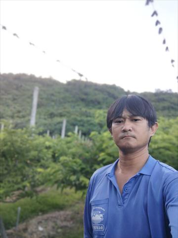 生產者圖片