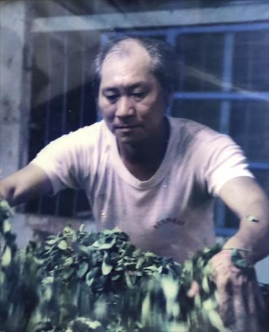 生產者圖片