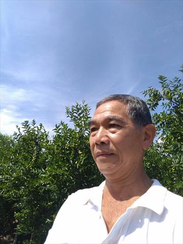 生產者圖片