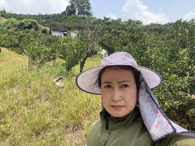 生產者圖片