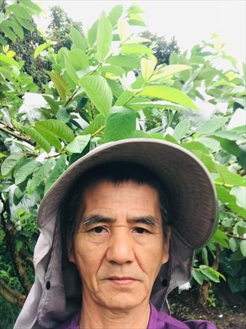生產者圖片