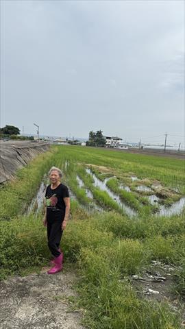 生產者圖片