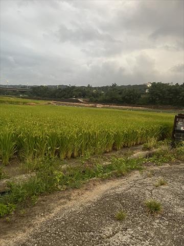 生產者圖片