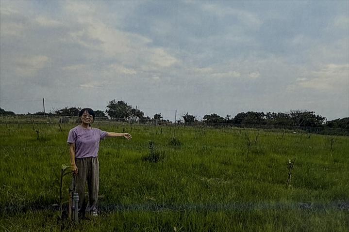 生產者圖片