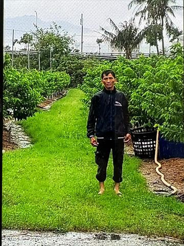 生產者圖片