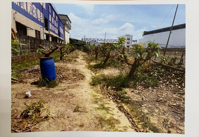 生產者圖片