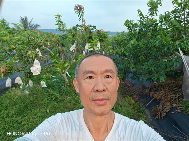 生產者圖片