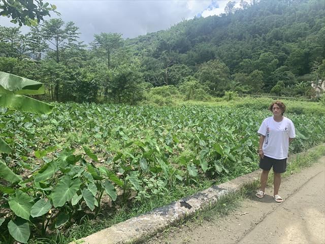 生產者圖片