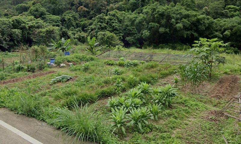生產者圖片