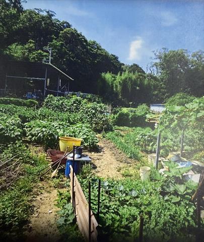 生產者圖片