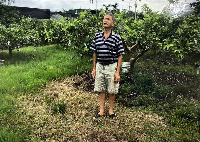 生產者圖片