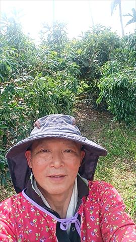 生產者圖片
