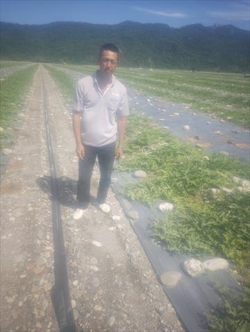 生產者圖片
